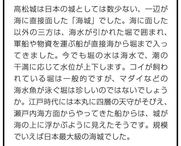 高松城は日本の城としては数少ない、一辺が海に直接面した「海城」でした。海に面した以外の三方は、海水が引かれた堀で囲まれ、軍船や物資を運ぶ船が直接海から堀まで入ってきました。今でも堀の水は海水で、潮の干満に応じて水位が上下します。コイが飼われている堀は一般的ですが、マダイなどの海水魚が泳ぐ堀は珍しいのではないでしょうか。江戸時代には本丸に四層の天守がそびえ、瀬戸内海方面からやってきた船からは、城が海の上に浮かぶように見えたそうです。規模でいえば日本最大級の海城でした。