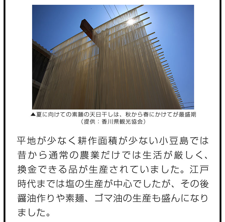 平地が少なく耕作面積が少ない小豆島では昔から通常の農業だけでは生活が厳しく、換金できる品が生産されていました。江戸時代までは塩の生産が中心でしたが、その後醤油作りや素麺、ゴマ油の生産も盛んになりました。