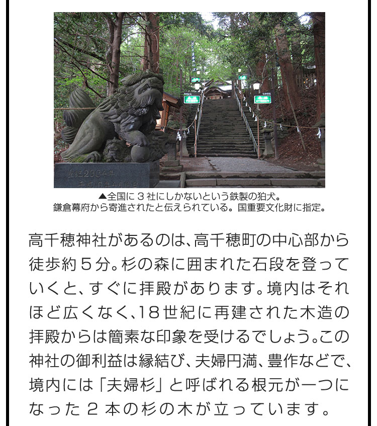 高千穂神社があるのは、高千穂町の中心部から徒歩約5分。杉の森に囲まれた石段を登っていくと、すぐに拝殿があります。境内はそれほど広くなく、18世紀に再建された木造の拝殿からは簡素な印象を受けるでしょう。この神社の御利益は縁結び、夫婦円満、豊作などで、境内には「夫婦杉」と呼ばれる根元が一つになった2本の杉の木が立っています。