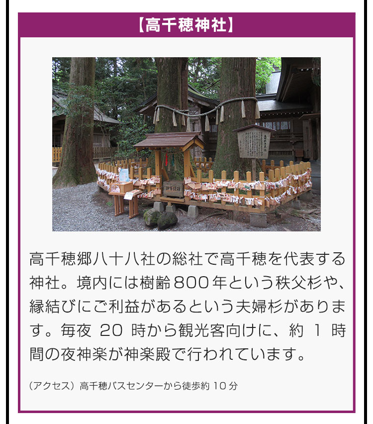 【高千穂神社】高千穂郷八十八社の総社で高千穂を代表する神社。境内には樹齢800年という秩父杉や、縁結びにご利益があるという夫婦杉があります。毎夜20時から観光客向けに、約1時間の夜神楽が神楽殿で行われています。（アクセス）高千穂バスセンターから徒歩約10分