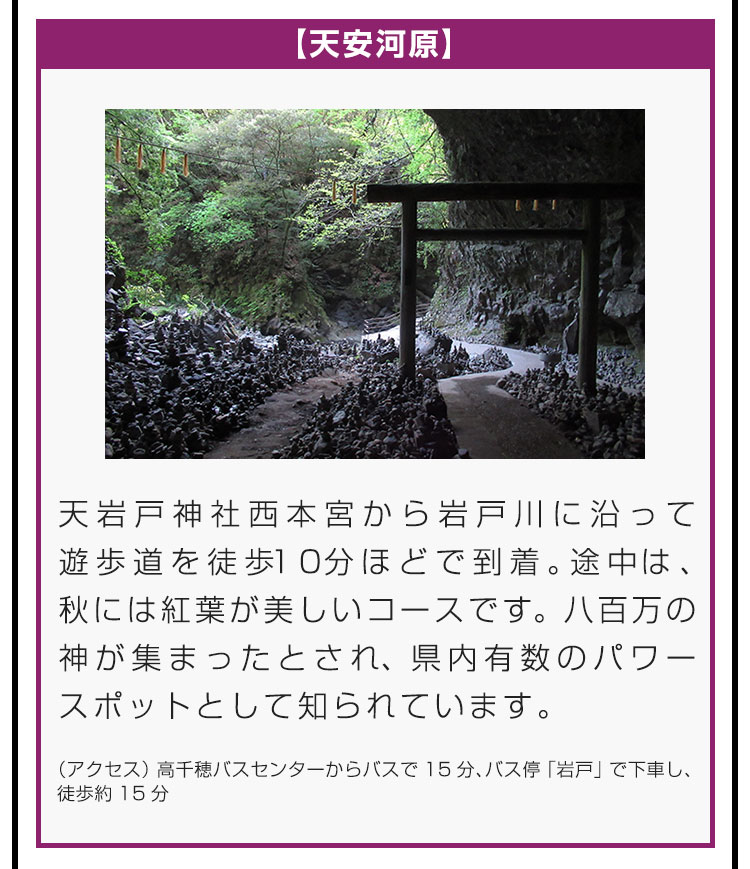 【天安河原】天岩戸神社西本宮から岩戸川に沿って遊歩道を徒歩10分ほどで到着。途中は、秋には紅葉が美しいコースです。八百万の神が集まったとされ、県内有数のパワースポットとして知られています。（アクセス）高千穂バスセンターからバスで15分、バス停「岩戸」で下車し、徒歩約15分