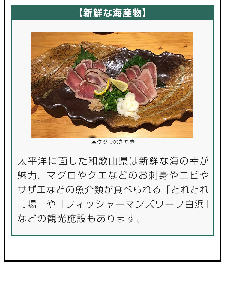 【新鮮な海産物】太平洋に面した和歌山県は新鮮な海の幸が魅力。マグロやクエなどのお刺身やエビやサザエなどの魚介類が食べられる「とれとれ市場」や「フィッシャーマンズワーフ白浜」などの観光施設もあります。