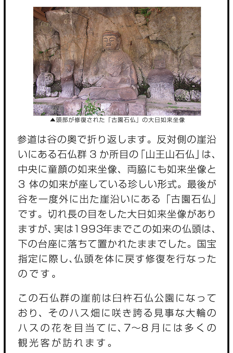 参道は谷の奥で折り返します。反対側の崖沿いにある石仏群3か所目の「山王山石仏」は、中央に童顔の如来坐像、両脇にも如来坐像と3体の如来が座している珍しい形式。最後が谷を一度外に出た崖沿いにある「古園石仏」です。切れ長の目をした大日如来坐像がありますが、実は1993年までこの如来の仏頭は、下の台座に落ちて置かれたままでした。国宝指定に際し、仏頭を体に戻す修復を行なったのです。　この石仏群の崖前は臼杵石仏公園になっており、そのハス畑に咲き誇る見事な大輪のハスの花を目当てに、7〜8月には多くの観光客が訪れます。