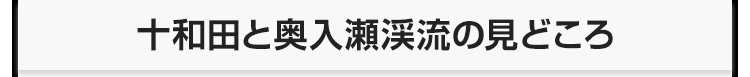 十和田と奥入瀬渓流の見どころ