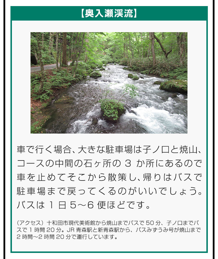 【奥入瀬渓流】車で行く場合、大きな駐車場は子ノ口と焼山、コースの中間の石ヶ所の3か所にあるので車を止めてそこから散策し、帰りはバスで駐車場まで戻ってくるのがいいでしょう。バスは1日5〜6便ほどです。（アクセス）十和田市現代美術館から焼山までバスで50分、子ノ口までバスで1時間20分。JR青森駅と新青森駅から、バスみずうみ号が焼山まで2時間〜2時間20分で運行しています。