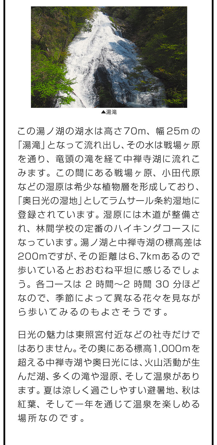 この湯ノ湖の湖水は高さ70m、幅25mの「湯滝」となって流れ出し、その水は戦場ヶ原を通り、竜頭の滝を経て中禅寺湖に流れこみます。この間にある戦場ヶ原、小田代原などの湿原は希少な植物層を形成しており、「奥日光の湿地」としてラムサール条約湿地に登録されています。湿原には木道が整備され、林間学校の定番のハイキングコースになっています。湯ノ湖と中禅寺湖の標高差は200mですが、その距離は6、7kmあるので歩いているとおおむね平坦に感じるでしょう。各コースは2時間〜2時間30分ほどなので、季節によって異なる花々を見ながら歩いてみるのもよさそうです。　日光の魅力は東照宮付近などの社寺だけではありません。その奥にある標高1,000mを超える中禅寺湖や奥日光には、火山活動が生んだ湖、多くの滝や湿原、そして温泉があります。夏は涼しく過ごしやすい避暑地、秋は紅葉、そして一年を通じて温泉を楽しめる場所なのです。