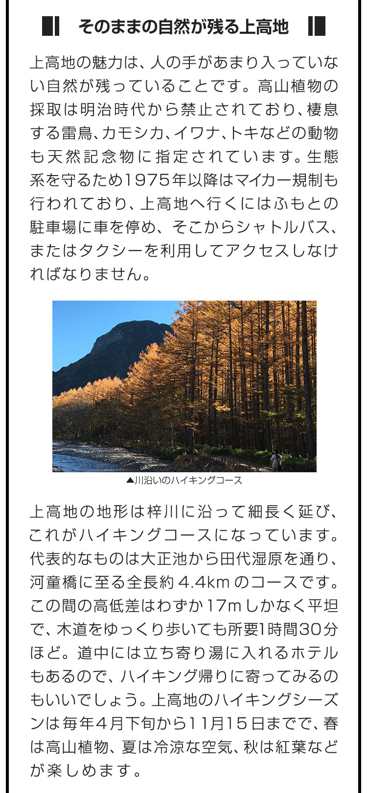 ■そのままの自然が残る上高地■上高地の魅力は、人の手があまり入っていない自然が残っていることです。高山植物の採取は明治時代から禁止されており、棲息する雷鳥、カモシカ、イワナ、トキなどの動物も天然記念物に指定されています。生態系を守るため1975年以降はマイカー規制も行われており、上高地へ行くにはふもとの駐車場に車を停め、そこからシャトルバス、またはタクシーを利用してアクセスしなければなりません。　上高地の地形は梓川に沿って細長く延び、これがハイキングコースになっています。代表的なものは大正池から田代湿原を通り、河童橋に至る全長約4.4kmのコースです。この間の高低差はわずか17mしかなく平坦で、木道をゆっくり歩いても所要1時間30分ほど。道中には立ち寄り湯に入れるホテルもあるので、ハイキング帰りに寄ってみるのもいいでしょう。上高地のハイキングシーズンは毎年4月下旬から11月15日までで、春は高山植物、夏は冷涼な空気、秋は紅葉などが楽しめます。