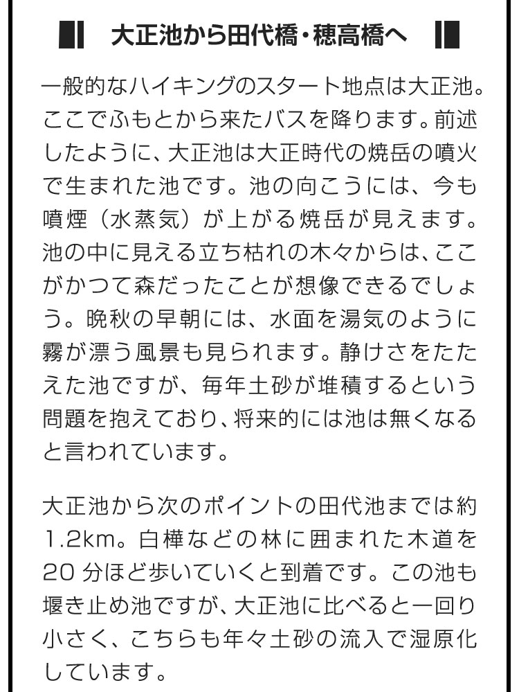 ■大正池から田代橋・穂高橋へ■一般的なハイキングのスタート地点は大正池。ここでふもとから来たバスを降ります。前述したように、大正池は大正時代の焼岳の噴火で生まれた池です。池の向こうには、今も噴煙（水蒸気）が上がる焼岳が見えます。池の中に見える立ち枯れの木々からは、ここがかつて森だったことが想像できるでしょう。晩秋の早朝には、水面を湯気のように霧が漂う風景も見られます。静けさをたたえた池ですが、毎年土砂が堆積するという問題を抱えており、将来的には池は無くなると言われています。　大正池から次のポイントの田代池までは約1.2km。白樺などの林に囲まれた木道を20分ほど歩いていくと到着です。この池も堰き止め池ですが、大正池に比べると一回り小さく、こちらも年々土砂の流入で湿原化しています。