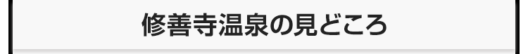 修善寺温泉の見どころ