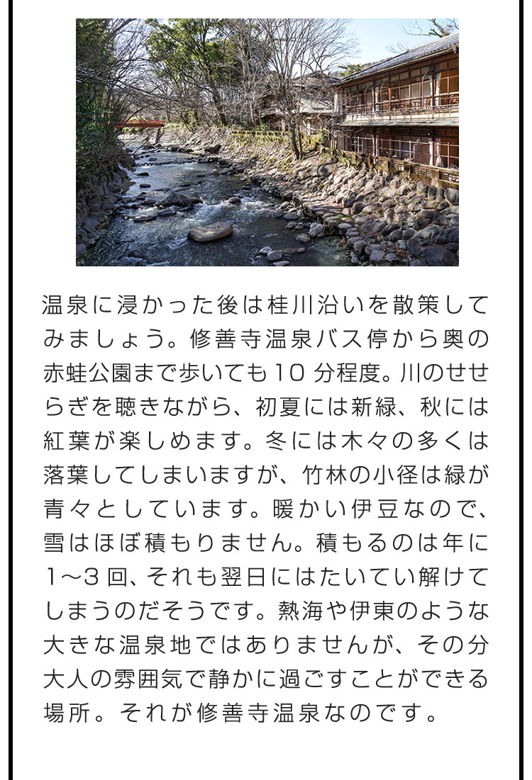 温泉に浸かった後は桂川沿いを散策してみましょう。修善寺温泉バス停から奥の赤蛙公園まで歩いても10分程度。川のせせらぎを聴きながら、初夏には新緑、秋には紅葉が楽しめます。冬には木々の多くは落葉してしまいますが、竹林の小径は緑が青々としています。暖かい伊豆なので、雪はほぼ積もりません。積もるのは年に1〜3回、それも翌日にはたいてい解けてしまうのだそうです。熱海や伊東のような大きな温泉地ではありませんが、その分大人の雰囲気で静かに過ごすことができる場所。それが修善寺温泉なのです。