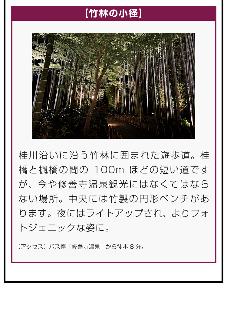 【竹林の小径】桂川沿いに沿う竹林に囲まれた遊歩道。桂橋と楓橋の間の100mほどの短い道ですが、今や修善寺温泉観光にはなくてはならない場所。中央には竹製の円形ベンチがあります。夜にはライトアップされ、よりフォトジェニックな姿に。（アクセス）バス停「修善寺温泉」から徒歩8分。