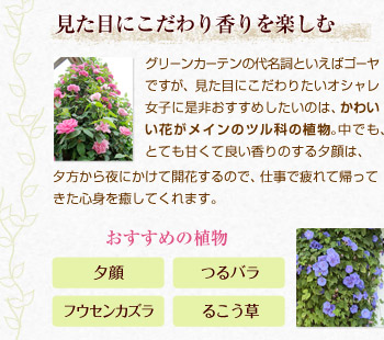 ڂɂ荁y