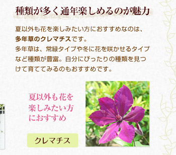 ނʔNy߂̂