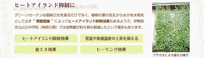 q[gACh}