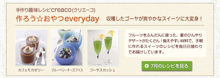 Vscreaco(NG[R) 낤everyday