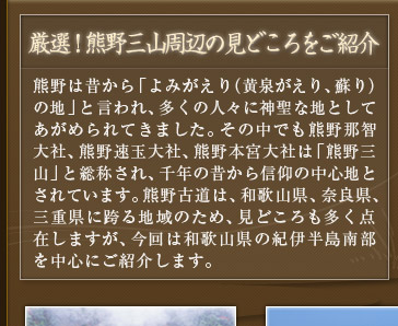 IIFORӂ̌ǂЉ